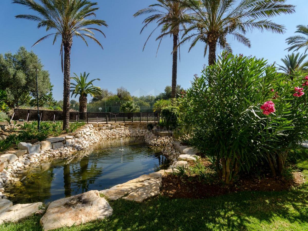 Jardim Da Meia Praia Apartment Lagos Dış mekan fotoğraf